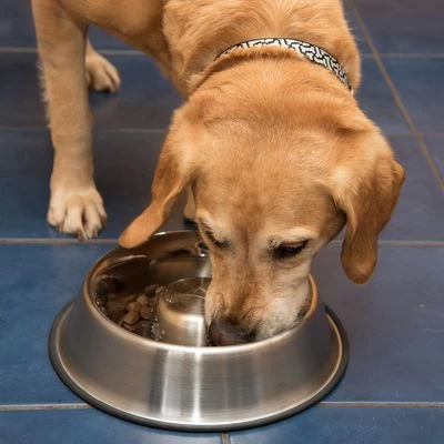 Antischrok Voerbak Uit RVS 10 Antischrok Voerbak Uit RVS - Afbeelding 8