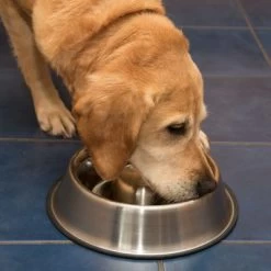 Antischrok Voerbak Uit RVS 20 Antischrok Voerbak Uit RVS -Hondenbenodigdheden Korting 66349 antischlingnapf fg 1011 1