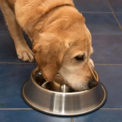 Antischrok Voerbak Uit RVS 11 Antischrok Voerbak Uit RVS - Afbeelding 9