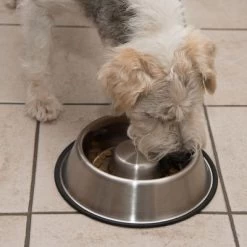 Antischrok Voerbak Uit RVS 21 Antischrok Voerbak Uit RVS -Hondenbenodigdheden Korting 66523 antischlingnapf fg 0988 4