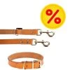 Heim Set: Lederen Halsband & Riem Buffalo 1 Heim Set: Lederen Halsband & Riem Buffalo -Hondenbenodigdheden Korting 673714 halsband leine set buffalo cognac 4