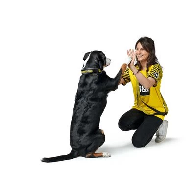 HUNTER Halsband Neopreen Reflect BVB 8 HUNTER Halsband Neopreen Reflect BVB - Afbeelding 6