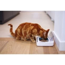 SureFeed Luchtdichte Voerbak -Hondenbenodigdheden Korting 69308 pla 5 luftdichte futt 5