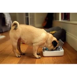 SureFeed Luchtdichte Voerbak -Hondenbenodigdheden Korting 69308 pla 6 luftdichte futt 3