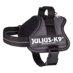 Julius K9 JULIUS-K9® Powertuigje - Antraciet -Hondenbenodigdheden Korting 69338 pla trixie julius k9 farbangabe hs 03 15020za 3