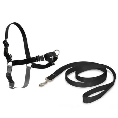 PetSafe Easy Walk Harness 3 PetSafe Easy Walk Harness