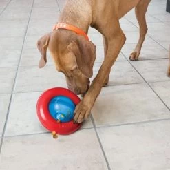 KONG Gyro -Hondenbenodigdheden Korting 74248 kong gyro 1