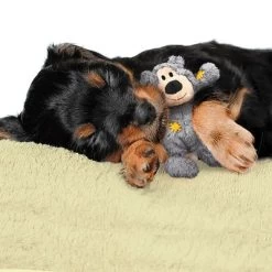 KONG WildKnots Bears 17 KONG WildKnots Bears -Hondenbenodigdheden Korting 74328 kong wildknotsbears hs 02 0