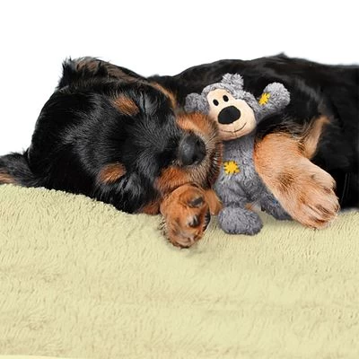 KONG WildKnots Bears 9 KONG WildKnots Bears - Afbeelding 7