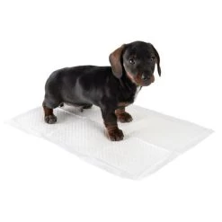 Puppy Trainingspads -Hondenbenodigdheden Korting 75257 puppy trainer pads fg 1 7
