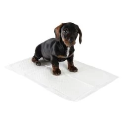 Puppy Trainingspads -Hondenbenodigdheden Korting 75257 puppy trainer pads fg 2 1
