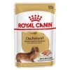 Royal Canin Dachshund Adult Mousse Hondenvoer 1 Royal Canin Dachshund Adult Mousse Hondenvoer -Hondenbenodigdheden Korting 77841 pla royal canin breed dachshund 85g 2 1