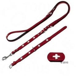 Hunter Set: Halsband Swiss + Hondenriem Swiss -Hondenbenodigdheden Korting 78553 hunter swiss leinense 1
