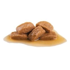 Royal Canin Maxi Ageing 8+ Hondenvoer In Saus -Hondenbenodigdheden Korting 82976 royalcanin maxi ageing 7