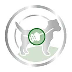 Royal Canin Mini Adult Hondenvoer In Saus 10 Royal Canin Mini Adult Hondenvoer In Saus -Hondenbenodigdheden Korting 83013 royalcanin mini adult picto 9