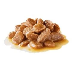 Royal Canin Mini Adult Hondenvoer In Saus 11 Royal Canin Mini Adult Hondenvoer In Saus -Hondenbenodigdheden Korting 83013 royalcanin mini adult s 1