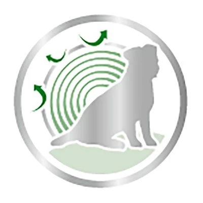 Royal Canin Mini Ageing Hondenvoer In Saus 6 Royal Canin Mini Ageing Hondenvoer In Saus - Afbeelding 4