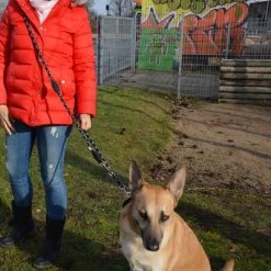 Julius K9 JULIUS-K9 IDC® Verstelbare Hondenriem 14 Julius K9 JULIUS-K9 IDC® Verstelbare Hondenriem -Hondenbenodigdheden Korting 89698 juliusk9 idcadjustableropeleash hs 11 2