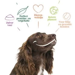 Voordeelpakket Yarrah Bio Hondenvoer 12 X 150 G -Hondenbenodigdheden Korting 9063 dog alu yarrah chunks vega 150g nl 8714265090622 2 4