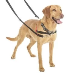 HALTI Trainingslijn -Hondenbenodigdheden Korting 94508 coa halti trainingsleine hs3 8