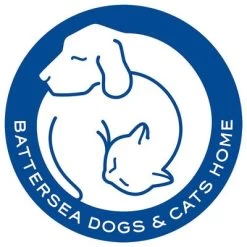 Pet Teezer De-shedding Brush Small 12 Pet Teezer De-shedding Brush Small -Hondenbenodigdheden Korting 99699 newflag petteezer desheddingbrush purple hs 06 4