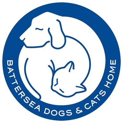 Pet Teezer De-shedding Brush Small 7 Pet Teezer De-shedding Brush Small - Afbeelding 5