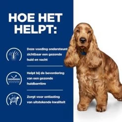 Hill's Prescription Diet Canine Z/D Food Sensitvities Hondenvoer Original -Hondenbenodigdheden Korting atf 605911 how it helps 1 6