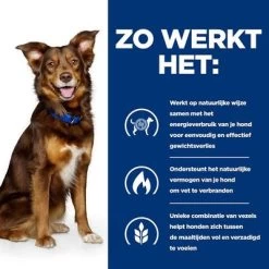 Hill's Prescription Diet Canine Metabolic Hondenvoer Met Kip 12 Hill's Prescription Diet Canine Metabolic Hondenvoer Met Kip -Hondenbenodigdheden Korting atf 605944 how it works 8 8
