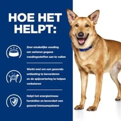 Hill's Prescription Diet Canine I/D Digestive Care Hondenvoer Met Kalkoen -Hondenbenodigdheden Korting atf 606447 how it helps 2