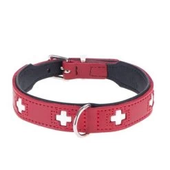 Hunter Set: Halsband Swiss + Hondenriem Swiss -Hondenbenodigdheden Korting dsc9098 5