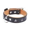 Heim Leren Halsband Stars -Hondenbenodigdheden Korting dsc9109 4