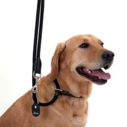 Hunter Retriever Politieriem Freestyle -Hondenbenodigdheden Korting leine halsband 11 1
