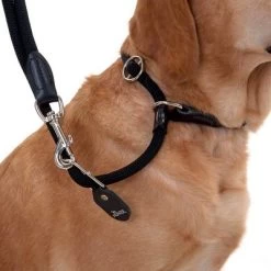 Hunter Retriever Politieriem Freestyle -Hondenbenodigdheden Korting leine halsband 13 1