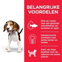 Hill's Science Plan Puppy Medium Met Kip -Hondenbenodigdheden Korting nl dog puppy medium chicken transition benefits 0