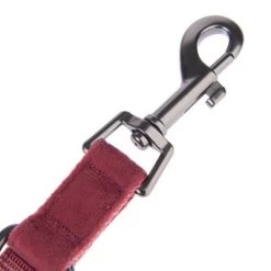 Hondenriem Nomad Tales Blush, Rosé 25 Hondenriem Nomad Tales Blush, Rosé -Hondenbenodigdheden Korting nomad tales bloom halsbaender fg 1399 8