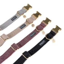 Nomad Tales Calma Halsband, Ebony -Hondenbenodigdheden Korting nomad tales calma halsbaender fg 1636 0