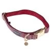 Nomad Tales Calma Halsband, Burgundy -Hondenbenodigdheden Korting pla 326203 326204 326205 325904 325899 325900 nomad tales calma halsbaender fg 1586 8
