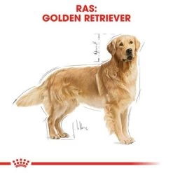 Royal Canin Golden Retriever Adult Hondenvoer 14 Royal Canin Golden Retriever Adult Hondenvoer -Hondenbenodigdheden Korting rc bhn goldenretriever cv eretailkit 1 nl nl 3