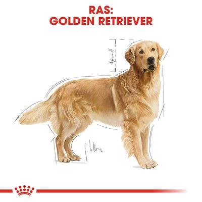 Royal Canin Golden Retriever Adult Hondenvoer 8 Royal Canin Golden Retriever Adult Hondenvoer - Afbeelding 6