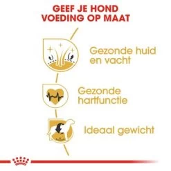 Royal Canin Golden Retriever Adult Hondenvoer 13 Royal Canin Golden Retriever Adult Hondenvoer -Hondenbenodigdheden Korting rc bhn goldenretriever cv eretailkit 3 nl nl 9