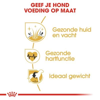 Royal Canin Golden Retriever Adult Hondenvoer 7 Royal Canin Golden Retriever Adult Hondenvoer - Afbeelding 5