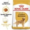 Royal Canin Golden Retriever Adult Hondenvoer -Hondenbenodigdheden Korting rc bhn goldenretriever mv eretailkit nl nl 4