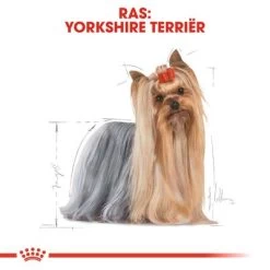 Royal Canin Yorkshire Terriër Adult Hondenvoer -Hondenbenodigdheden Korting rc bhn yorkshire cv eretailkit 1 nl nl 7