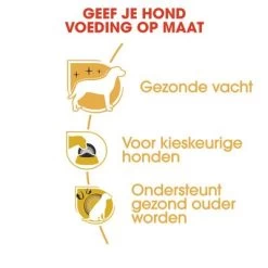 Royal Canin Yorkshire Terriër Adult Hondenvoer -Hondenbenodigdheden Korting rc bhn yorkshire cv eretailkit 3 nl nl 7