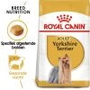 Royal Canin Yorkshire Terriër Adult Hondenvoer