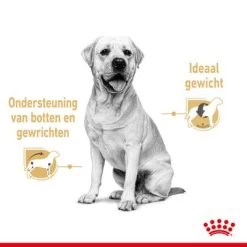 Royal Canin Breed Labrador Retriever Adult Hondenvoer In Saus 11 Royal Canin Breed Labrador Retriever Adult Hondenvoer In Saus -Hondenbenodigdheden Korting rc spt wet labad cv 1 nl nl 8