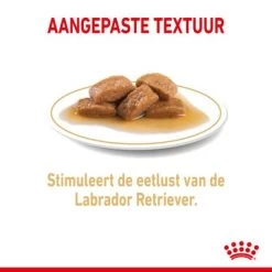 Royal Canin Breed Labrador Retriever Adult Hondenvoer In Saus 12 Royal Canin Breed Labrador Retriever Adult Hondenvoer In Saus -Hondenbenodigdheden Korting rc spt wet labad cv 2 nl nl 1