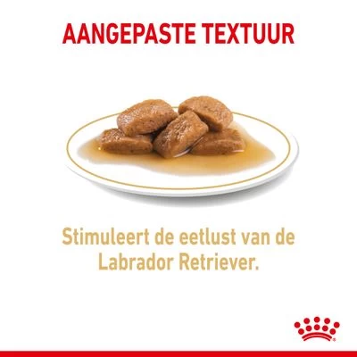 Royal Canin Breed Labrador Retriever Adult Hondenvoer In Saus 6 Royal Canin Breed Labrador Retriever Adult Hondenvoer In Saus - Afbeelding 4
