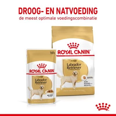 Royal Canin Breed Labrador Retriever Adult Hondenvoer In Saus 7 Royal Canin Breed Labrador Retriever Adult Hondenvoer In Saus - Afbeelding 5
