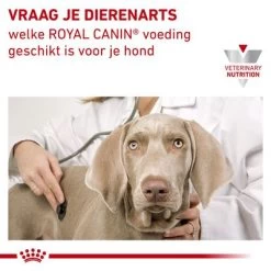 Royal Canin Veterinary - Urinary S/O Small Dog Hondenvoer 13 Royal Canin Veterinary - Urinary S/O Small Dog Hondenvoer -Hondenbenodigdheden Korting rc vet dry dogurinarysosd cv eretailkit 6 nl nl 5